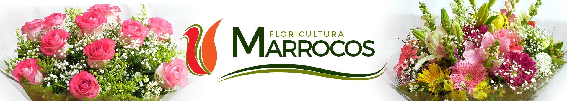 Floricultura Marrocos - Campo Grande MS