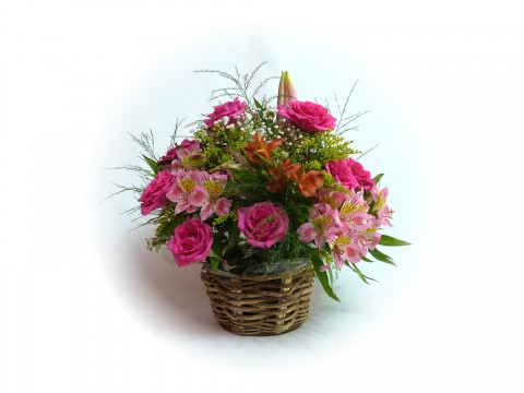 Arranjo com Rosa Cor-de-Rosa